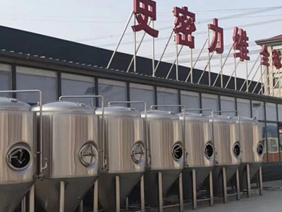 合川精酿啤酒设备厂—市场规模与跨界新需求